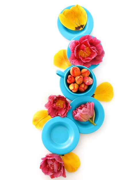 Zdjęcia dań z planu